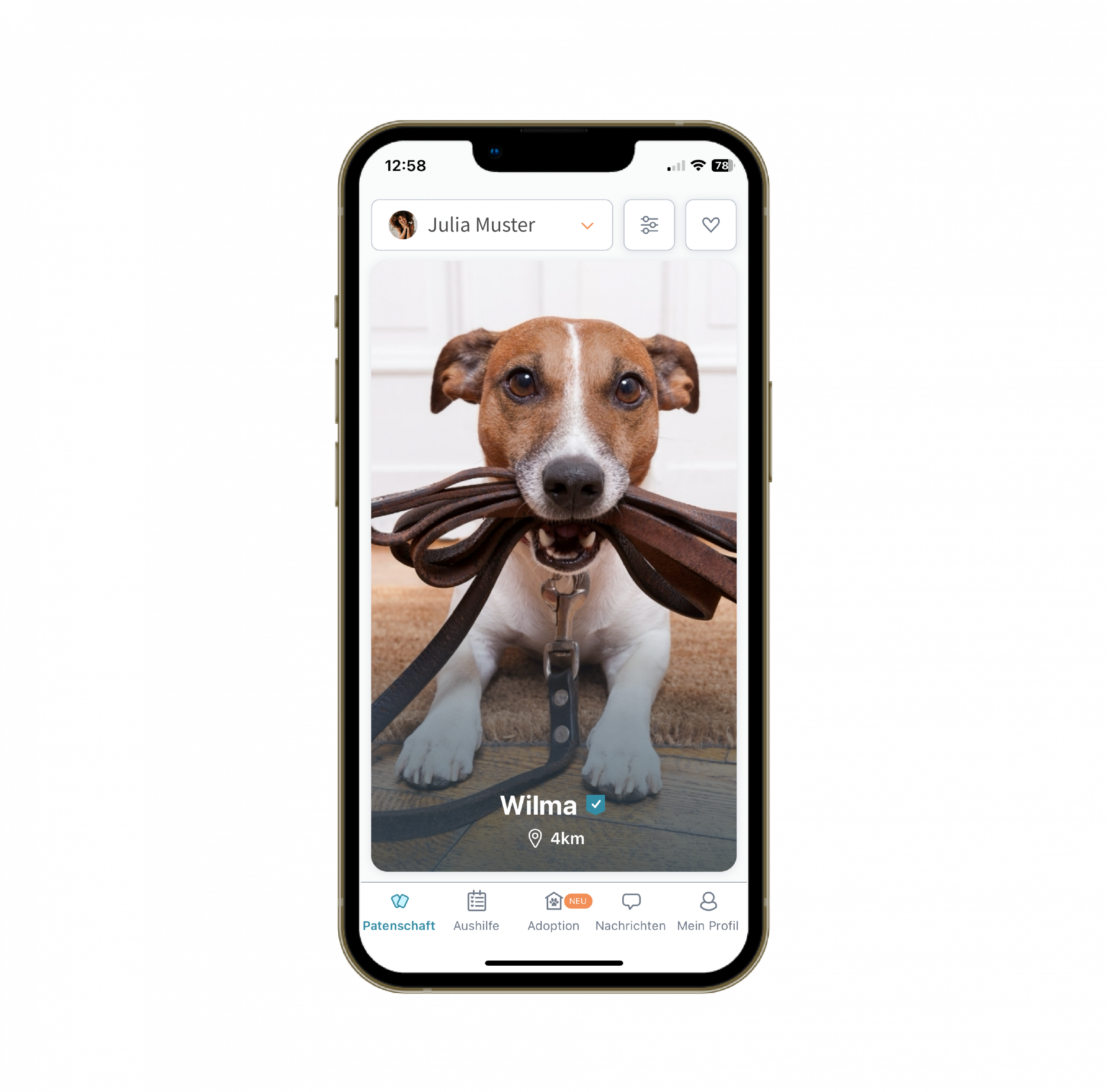 Dogsharing App Hund Profil
