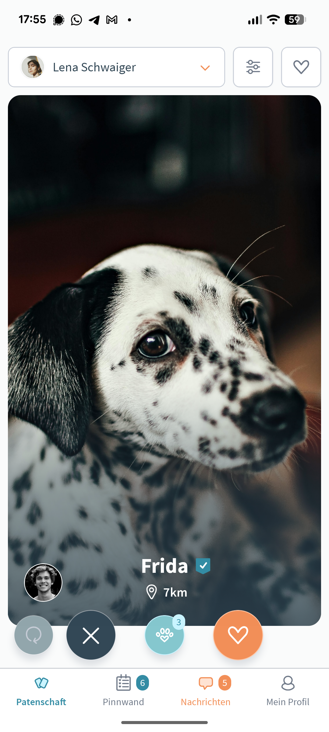 Dogsharing App Hund Profil