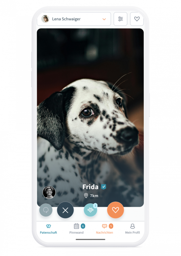 Dogsharing Hund Screen