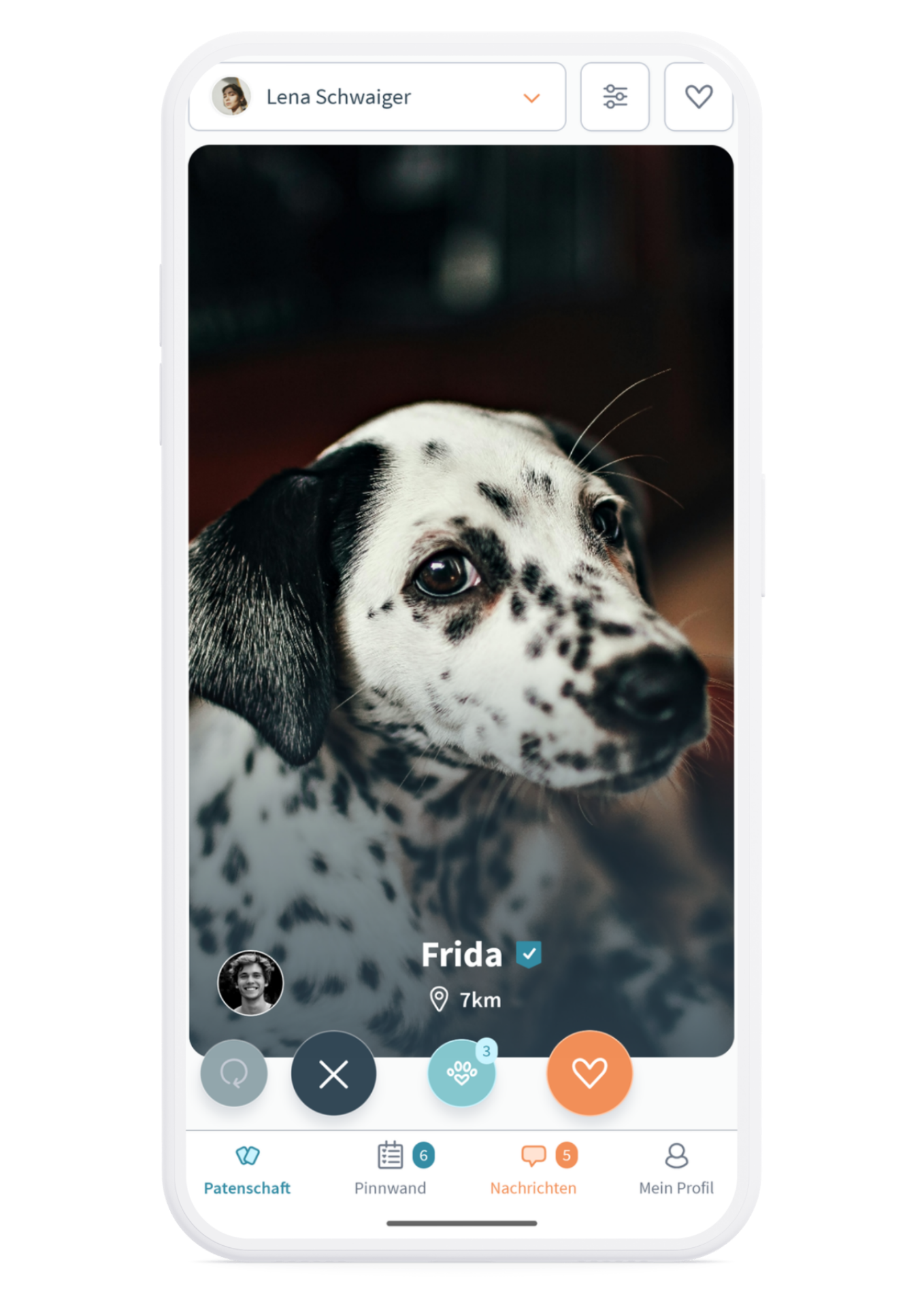 Dogsharing Hund Screen