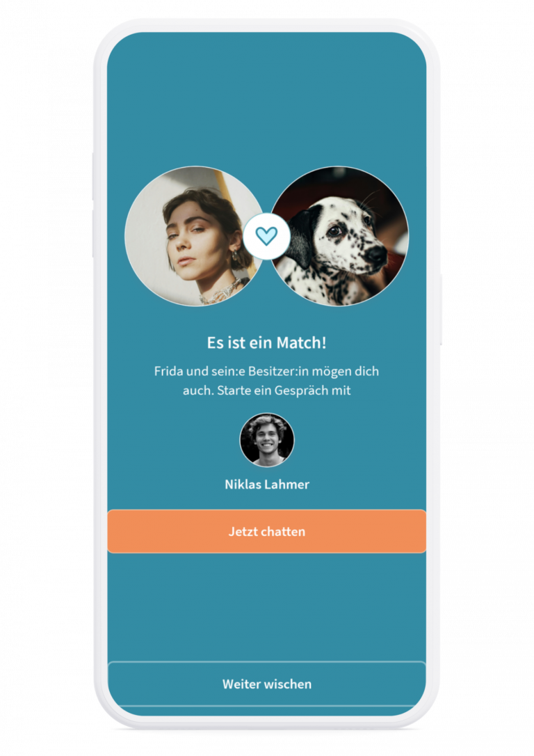 Dogsharing Match Screen
