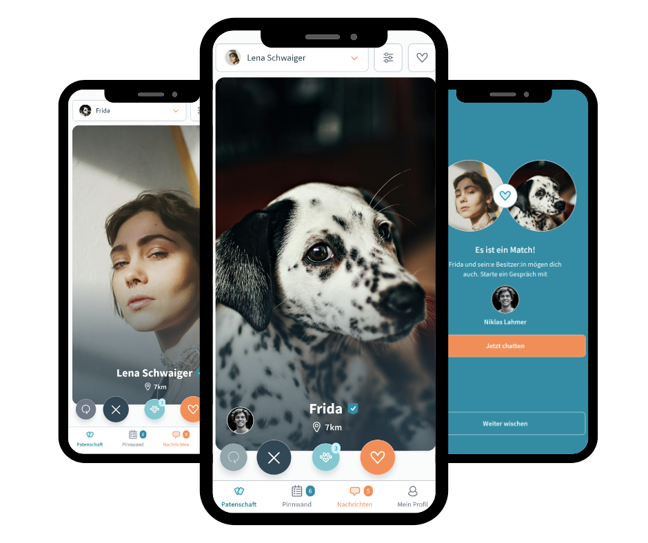 Dogsharing App Screenshots